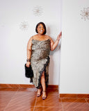 Wild Elegance Leopard Lace Trim Midi Dress