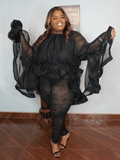 Oversized Sheer High-low Exaggerated Top