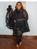 Oversized Sheer High-low Exaggerated Top