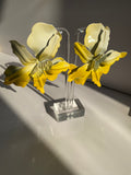 Large Yellow Ombre Flower Earrings